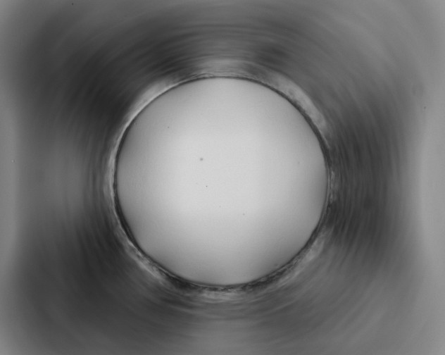 X0000086901386200705141634