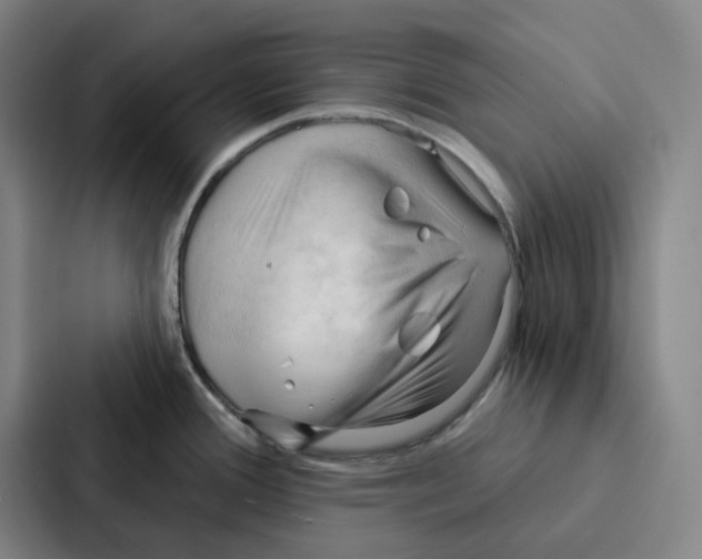 X0000086901388200705141634