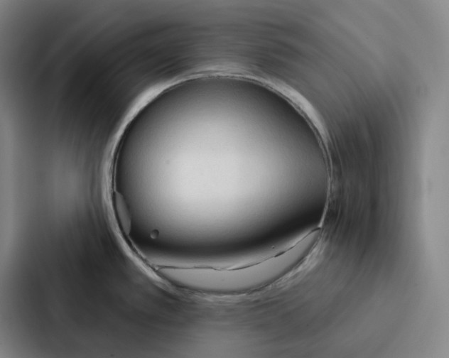 X0000086901389200705141634