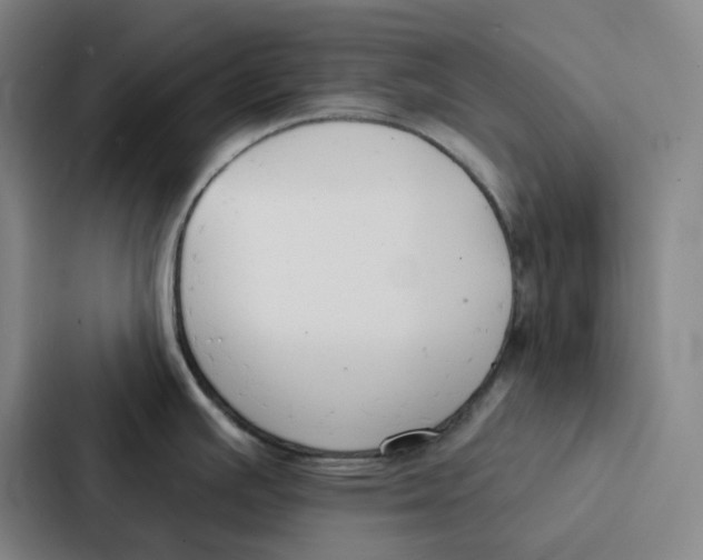 X0000086901391200705141634