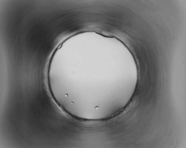 X0000086901392200705141634