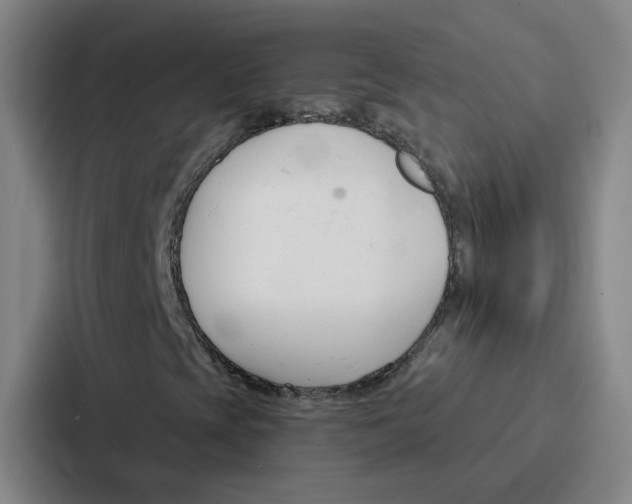 X0000086901393200705141633