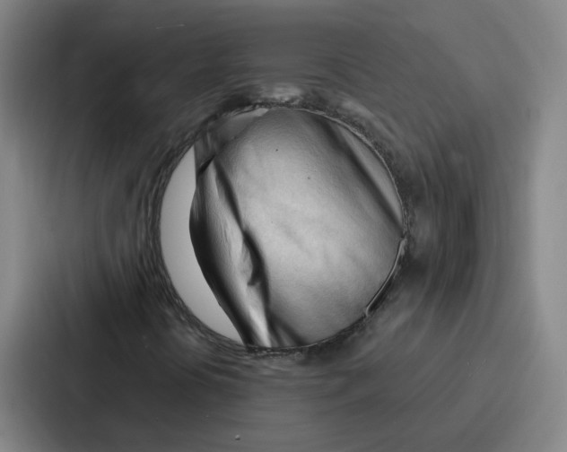 X0000086901394200705141633