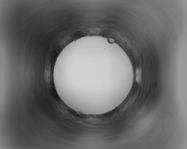 X0000086901395200705141633