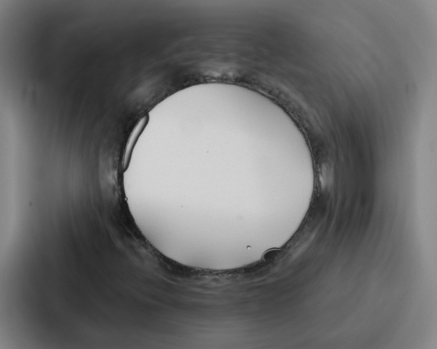 X0000086901396200705141633