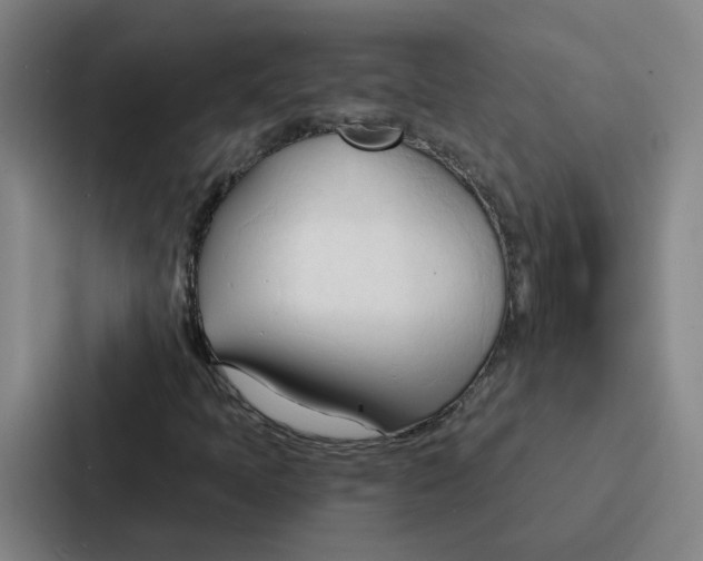 X0000086901397200705141633