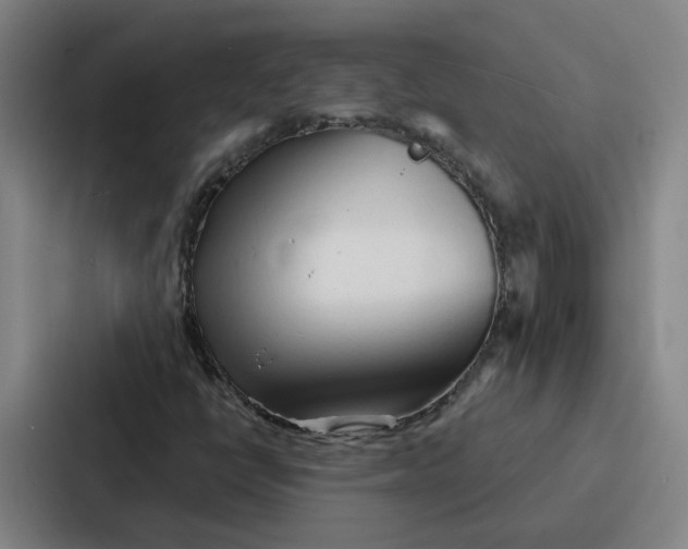 X0000086901398200705141633