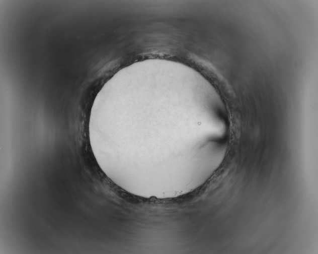 X0000086901399200705141633