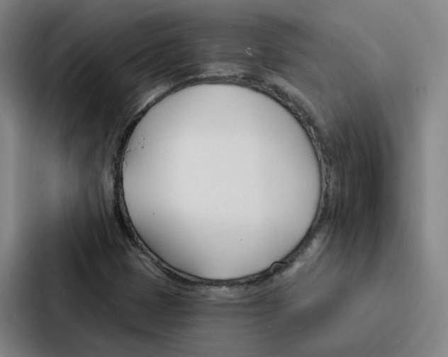 X0000086901401200705141633