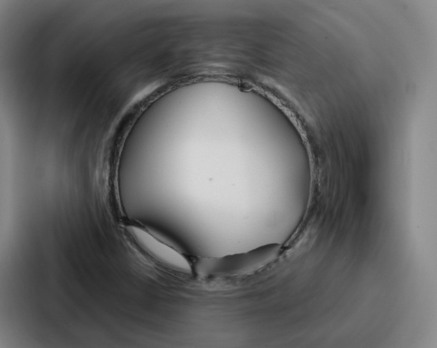 X0000086901402200705141633