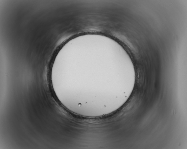 X0000086901404200705141633