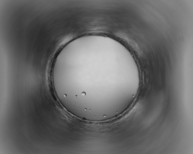 X0000086901405200705141633