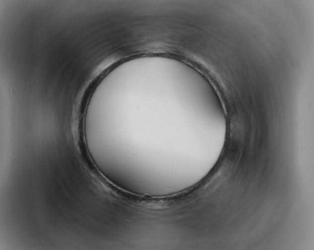 X0000086901410200705141633