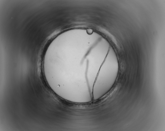 X0000086901411200705141633