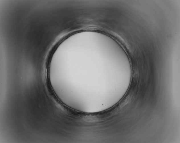 X0000086901414200705141633