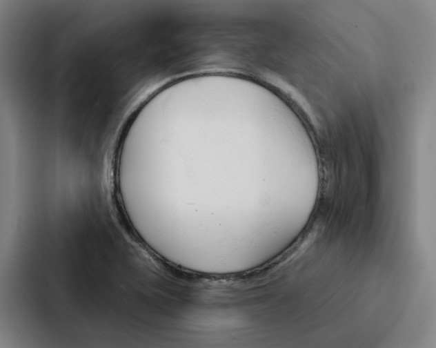 X0000086901415200705141633