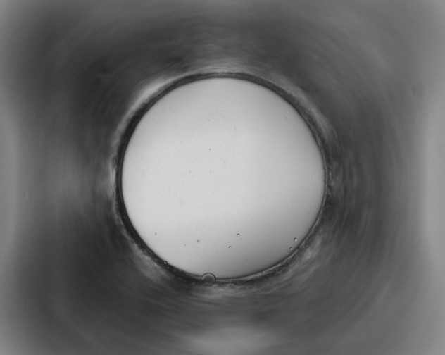 X0000086901416200705141633