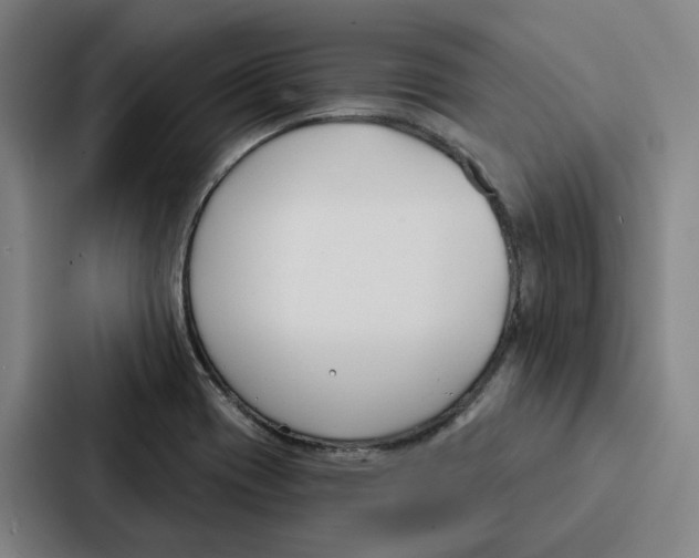 X0000086901417200705141633