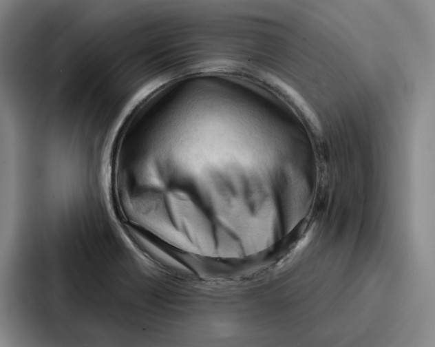 X0000086901418200705141633