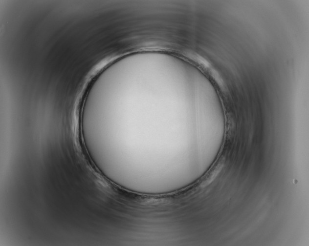 X0000086901419200705141633