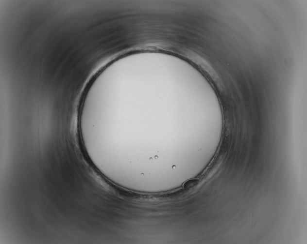 X0000086901420200705141633