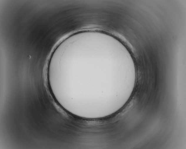 X0000086901421200705141633