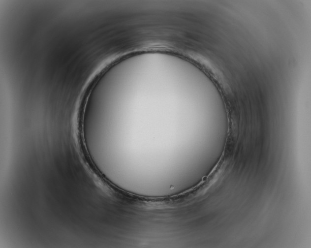 X0000086901422200705141633