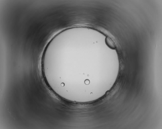 X0000086901423200705141633