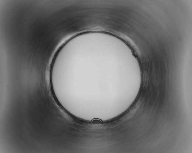 X0000086901424200705141633