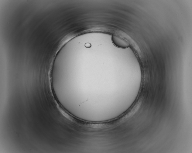 X0000086901425200705141633