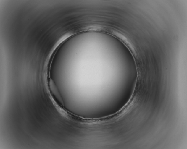 X0000086901426200705141633