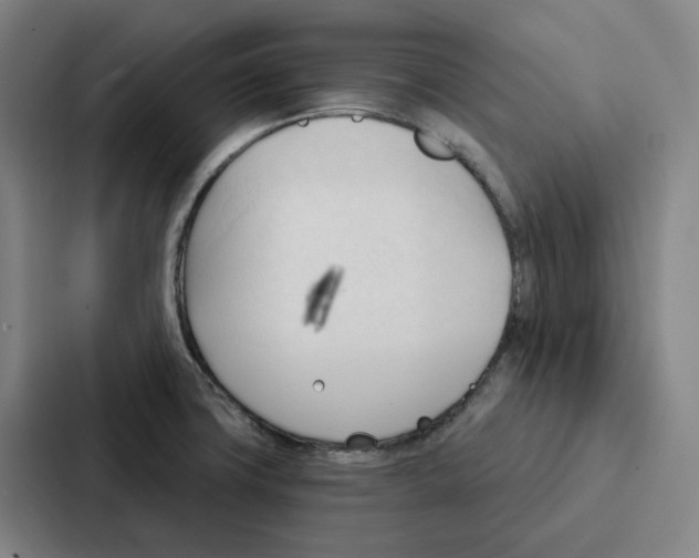 X0000086901427200705141633