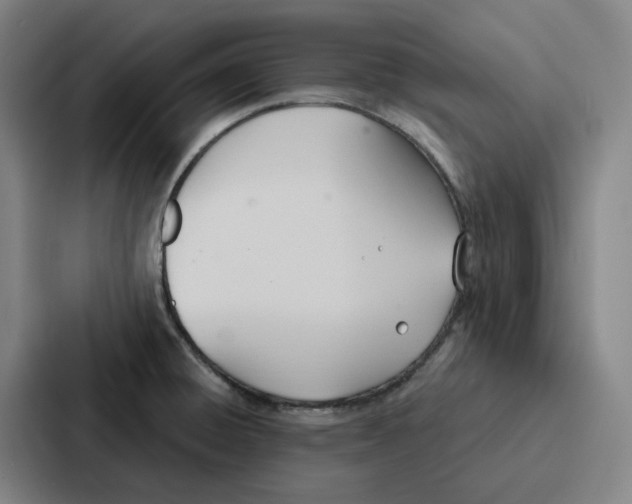 X0000086901428200705141633