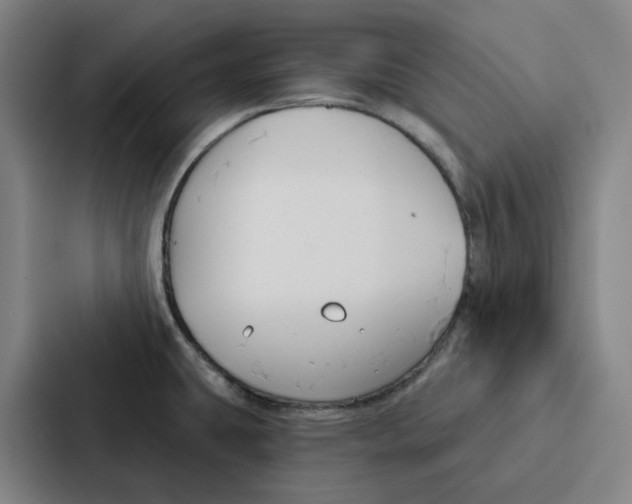 X0000086901431200705141634