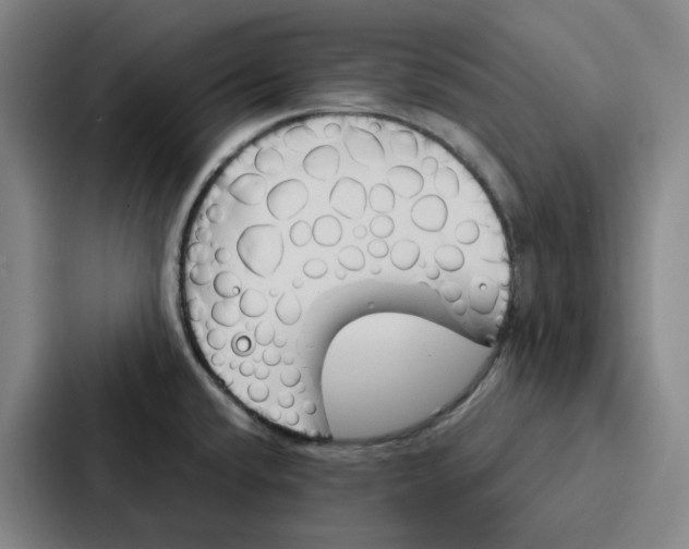 X0000086901432200705141634