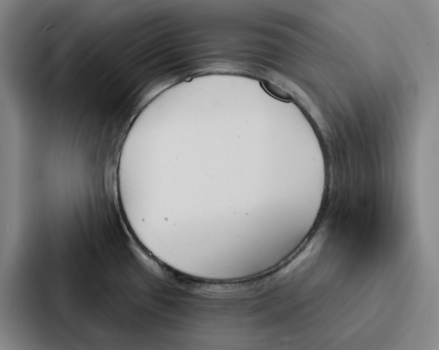 X0000086901433200705141634