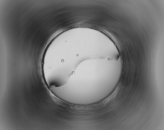 X0000086901434200705141634