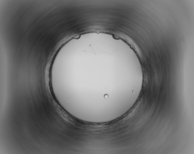 X0000086901435200705141634