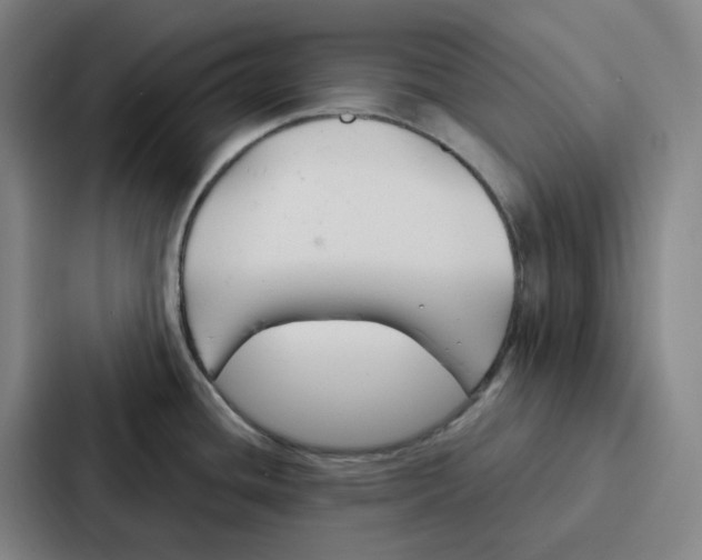 X0000086901436200705141634