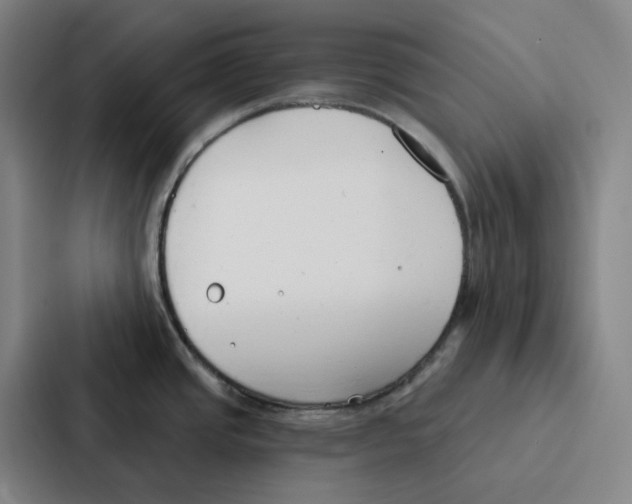 X0000086901437200705141634