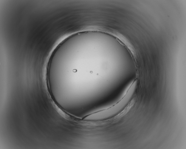 X0000086901438200705141634