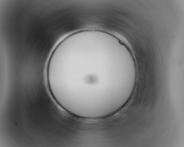 X0000086901440200705141634