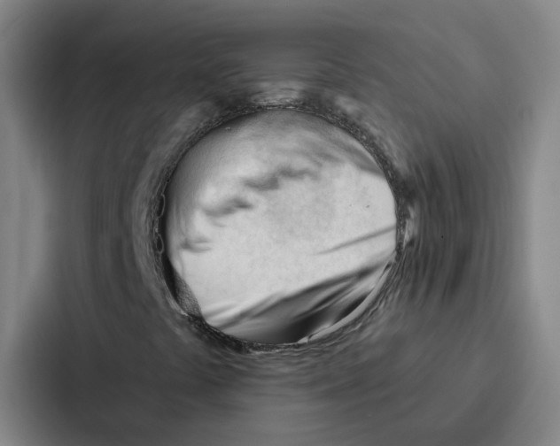 X0000086901441200705141633