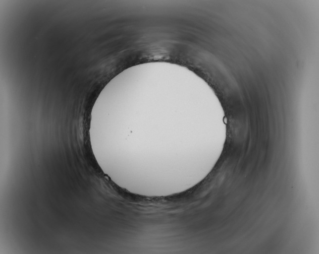 X0000086901442200705141633