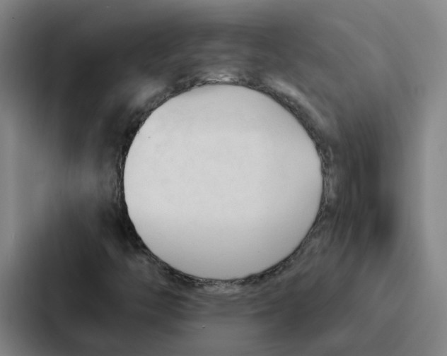 X0000086901446200705141633