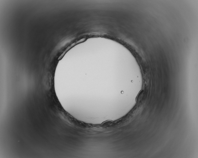 X0000086901448200705141633