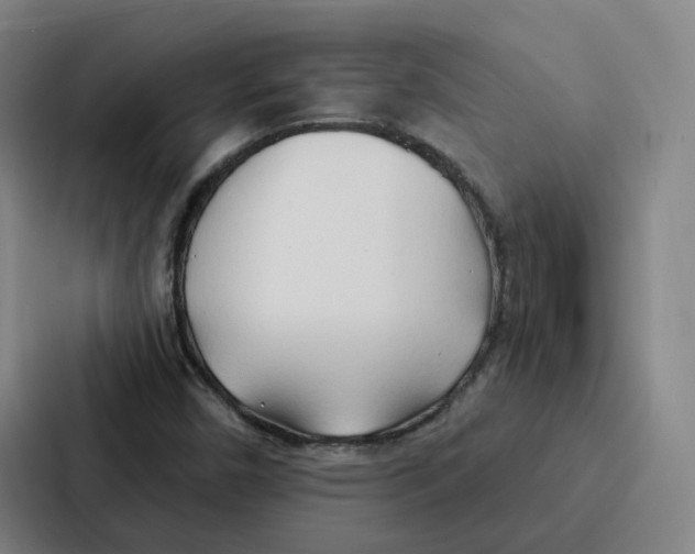 X0000086901450200705141633