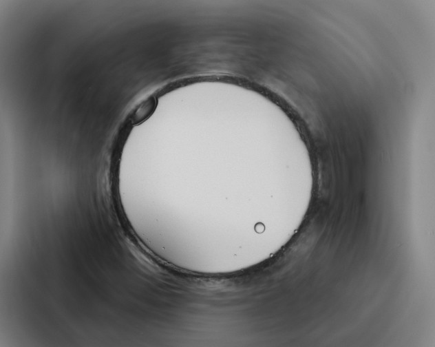 X0000086901452200705141633