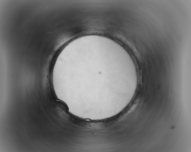 X0000086901453200705141633