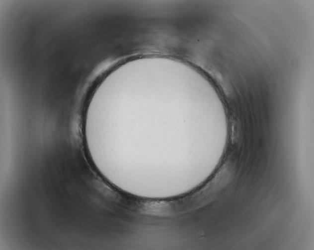 X0000086901454200705141633